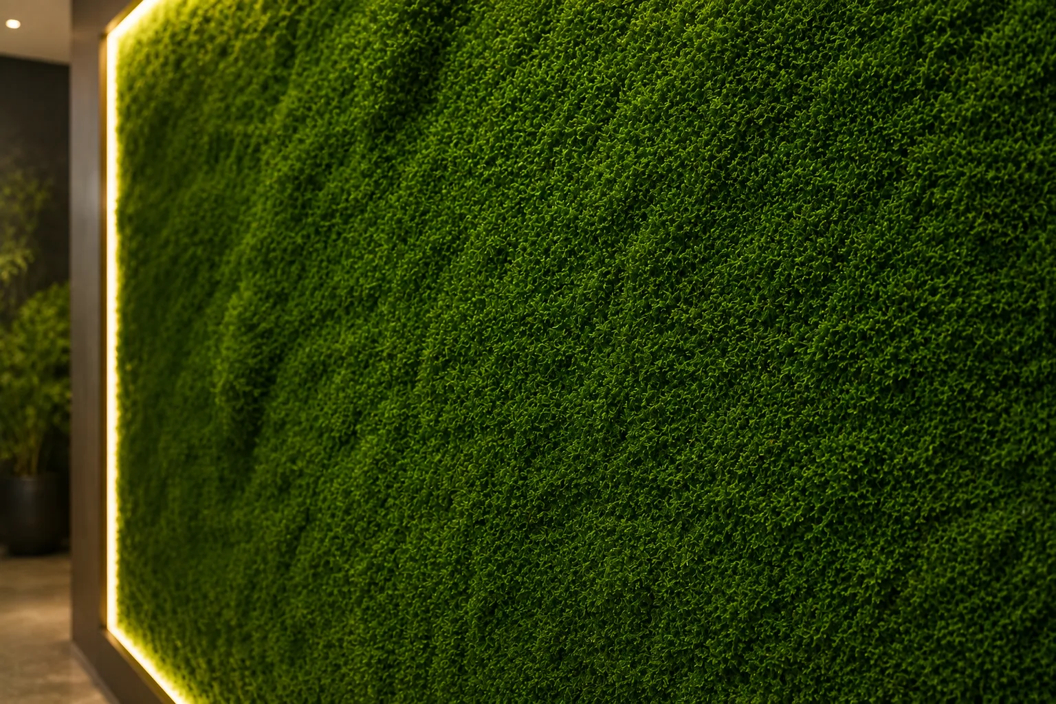 Forest Moss Wall Background
